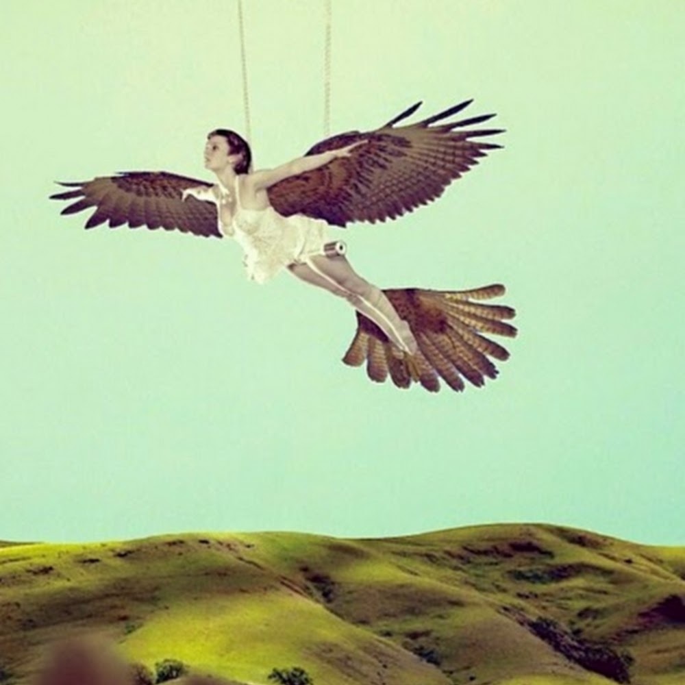 Meet your Posher, Chelsea.